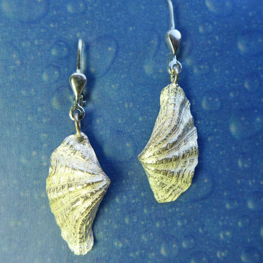 Mördermuschel Ohrringe Silber Schmuck