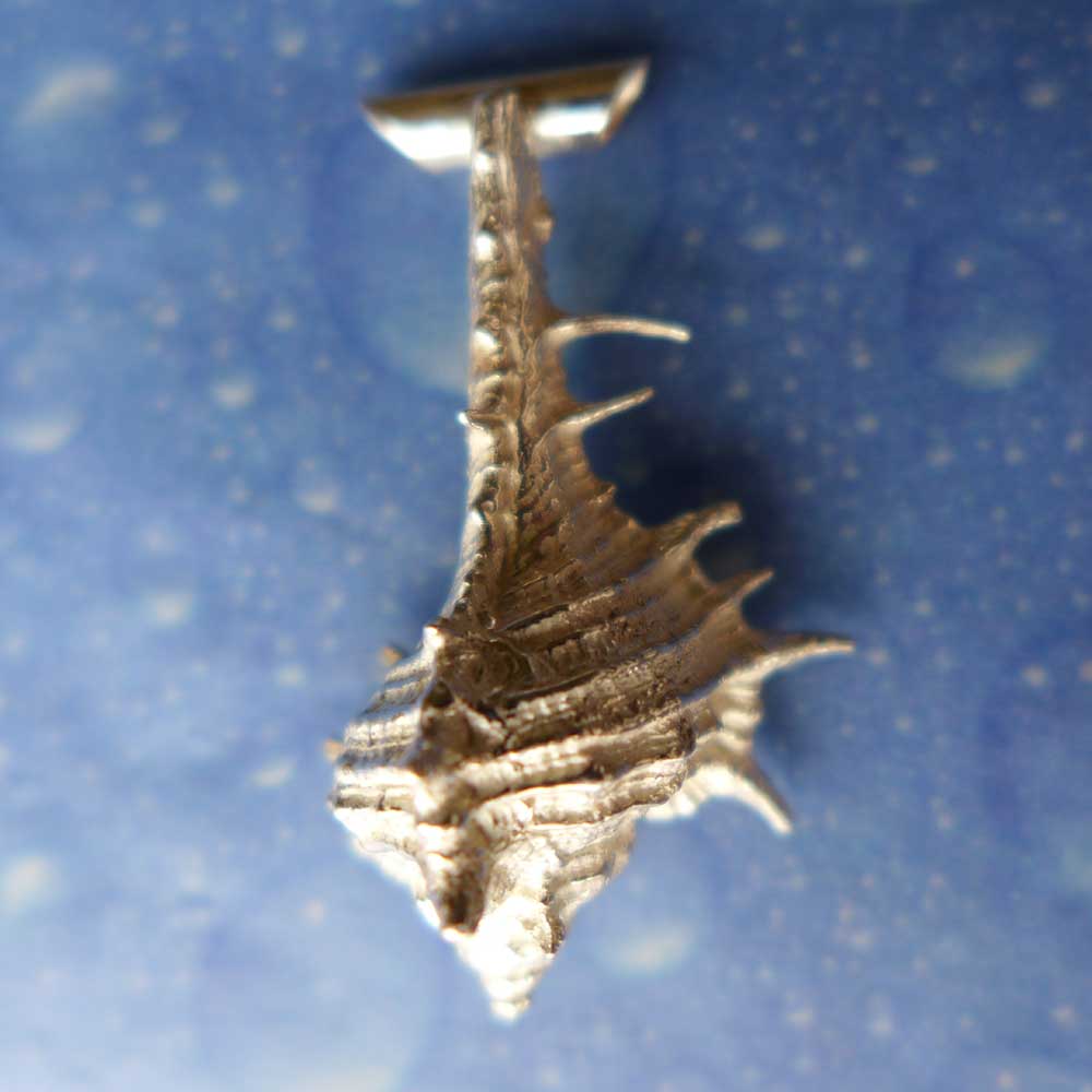 Murex Schmuck Anhänger Silber