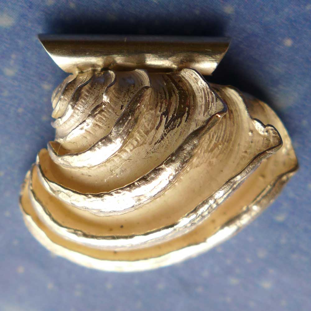 Muschel Anhänger Silber Königsvenus