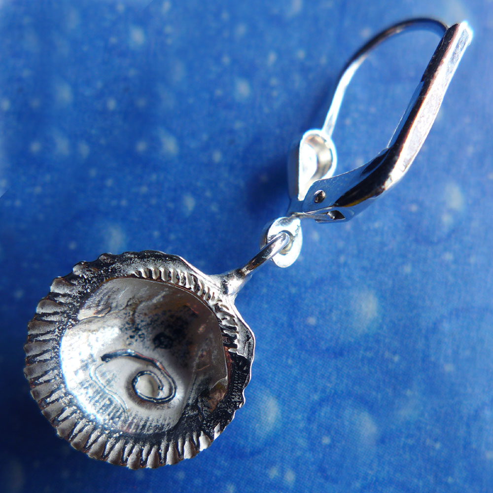 Muschel Ohrring Silber Herzmuschel