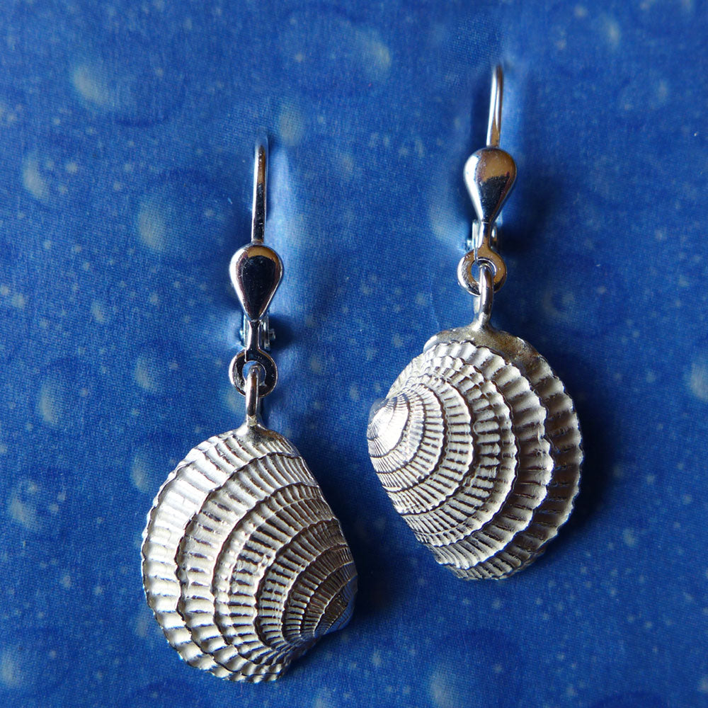 Muschel Ohrring Venus Ozean Schmuck