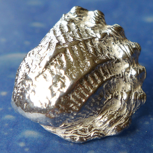 Schmuckdesign Gewellte Muschel Ohrstecker