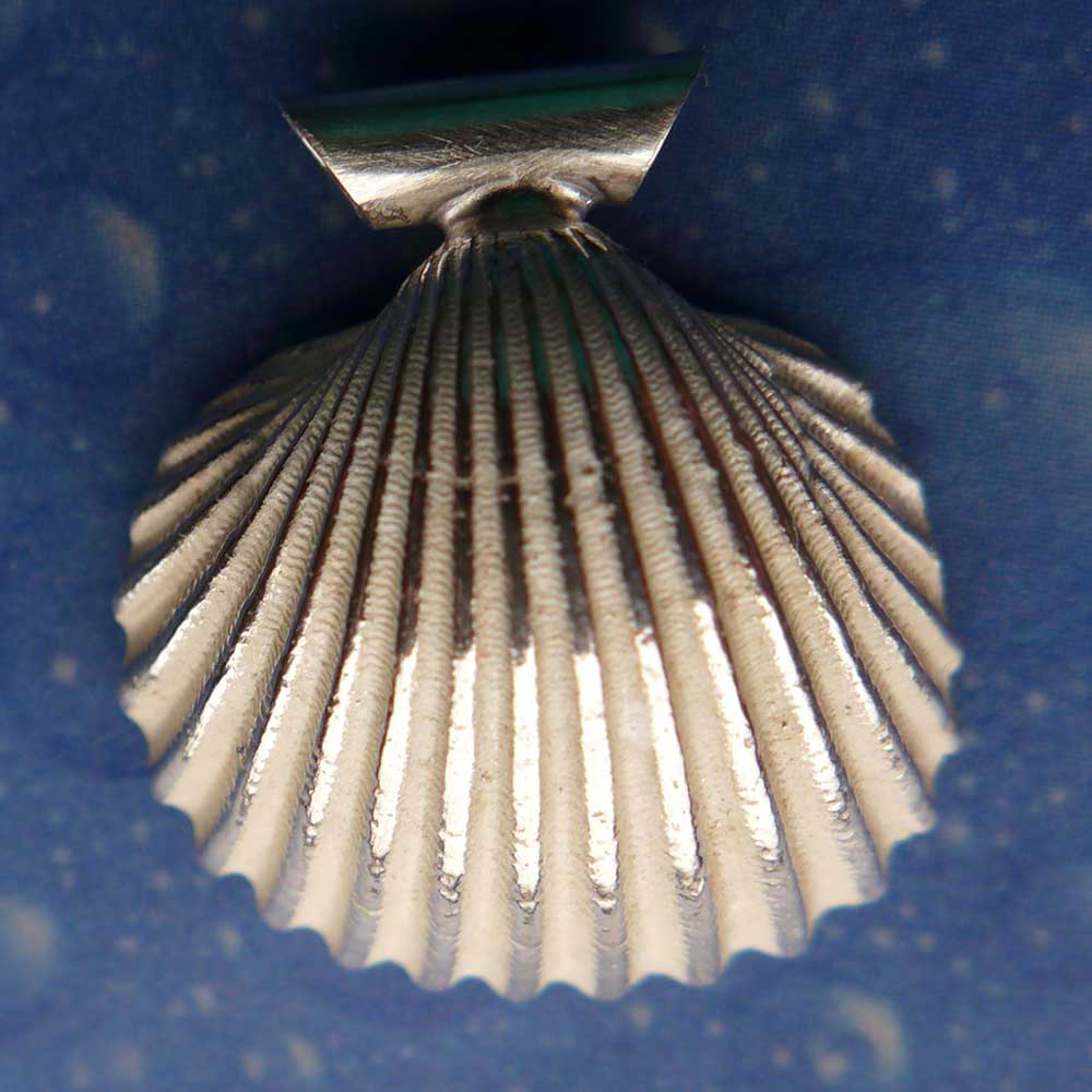 Muschel Kette Silber Schmuck