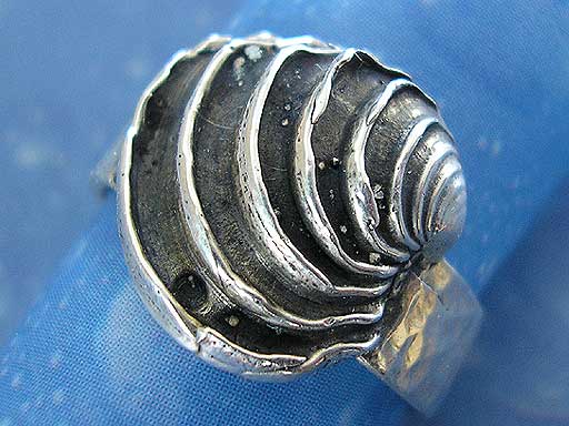 Muschel Schmuck Ring Venus