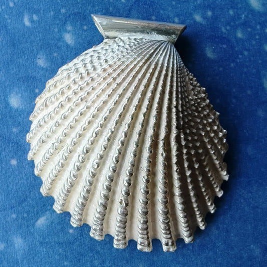 Muschelanhänger Silberkette Schmuck