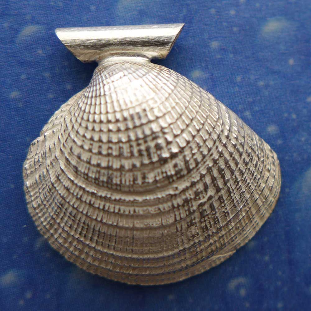 Muschelschmuck Anhänger Lamellenvenus