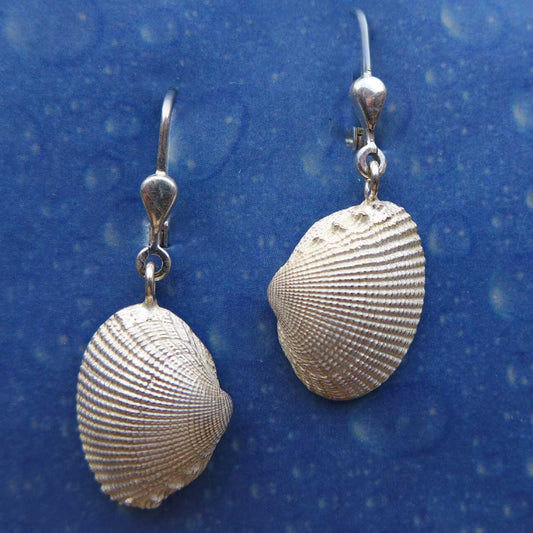 Muschelschmuck Ohrringe Archen Kamm