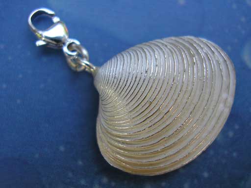Natur Schmuck Venusmuschel Charms fein