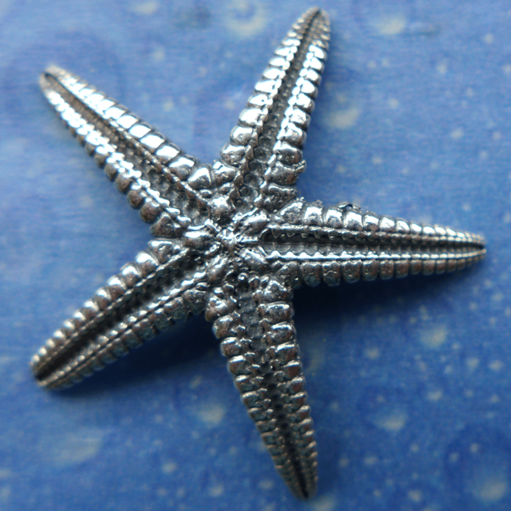 Natur Schmuck Seestern Ohrstecker