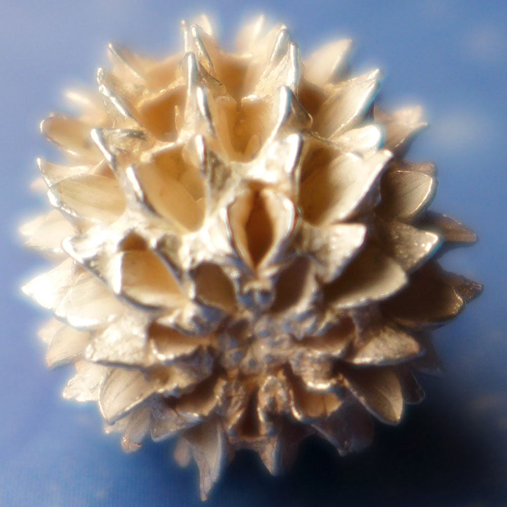 Naturschmuck Same Kassuarine Charms