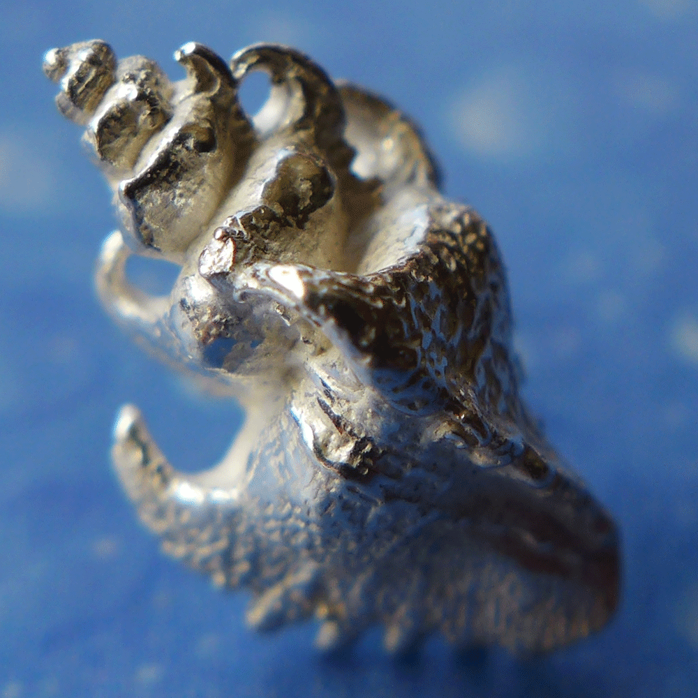 Naturschmuck Haken Schnecke Ohrstecker Silber