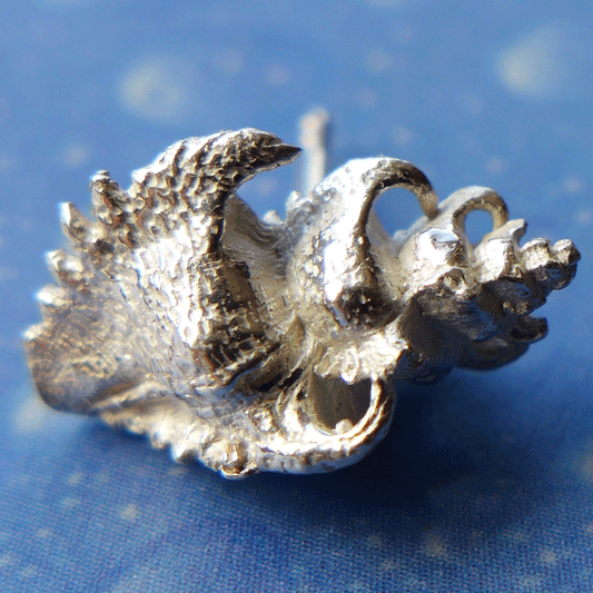 Naturschmuck Haken Schnecke Ohrstecker