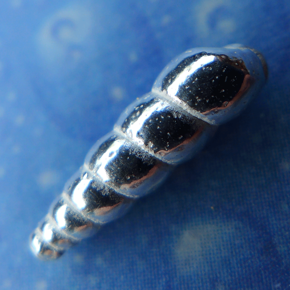 Naturschmuck Silber Landschnecke Ohrstecker bra