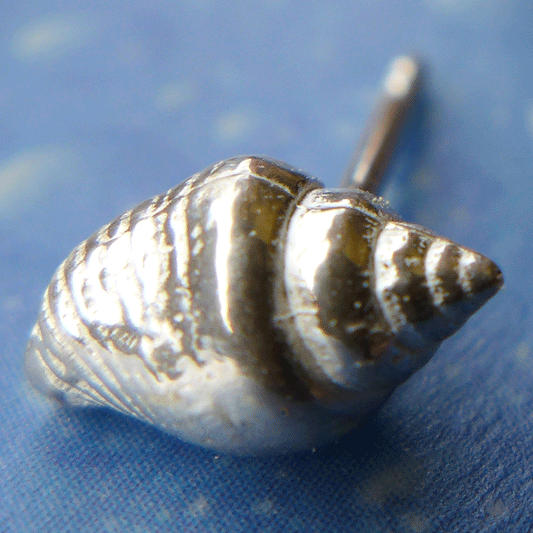 Neptuns Schmuck Strombustäubchen m