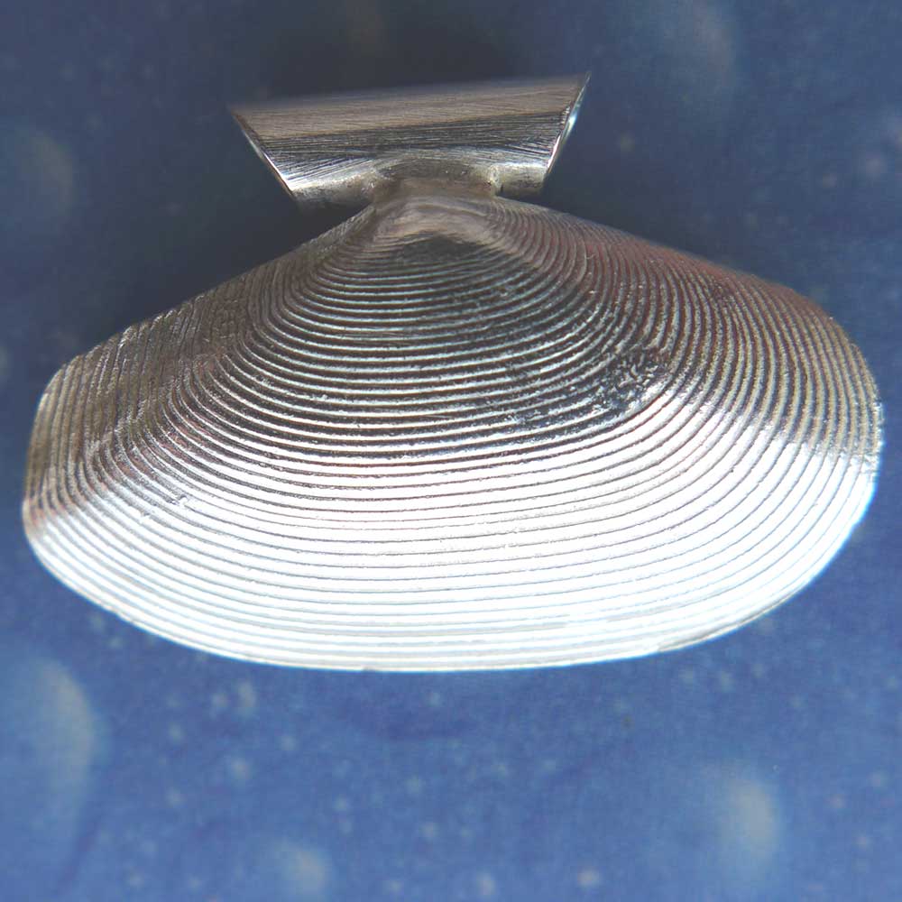 Nordsee Schmuck Tell Muschel