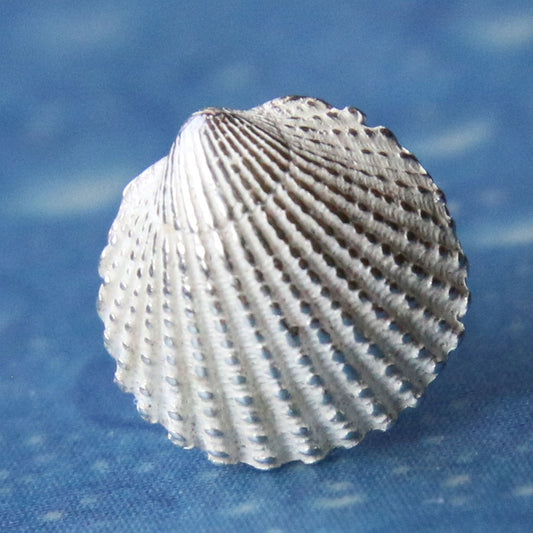 Nordsee Silber Ohrstecker Schmuck Herzmuschel xxs