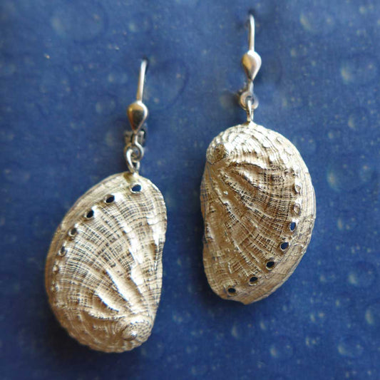 Ohrhänger Abalone Silber Meerohr