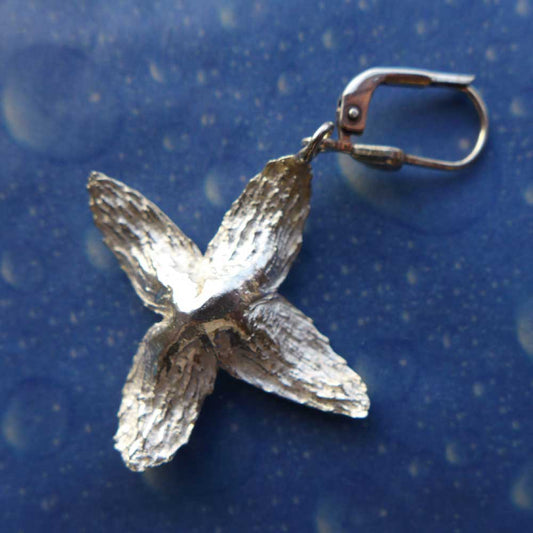 Buchecker Ohrhänger