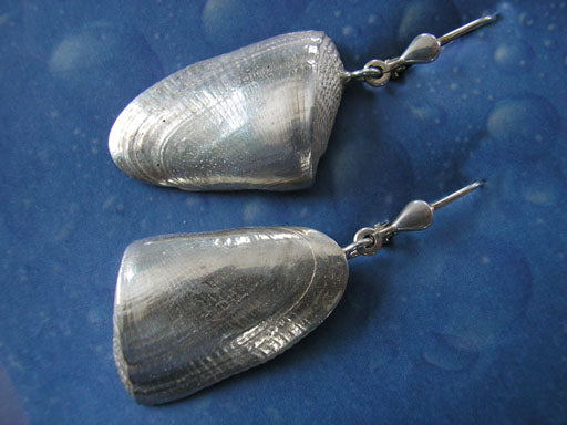 Meeresmotiv Muschel Ohrring Sägezahn