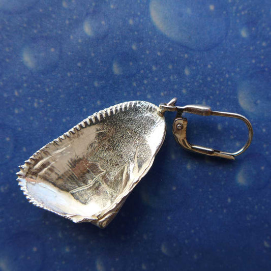 Meeresmotiv Muschel Ohrring Sägezahn