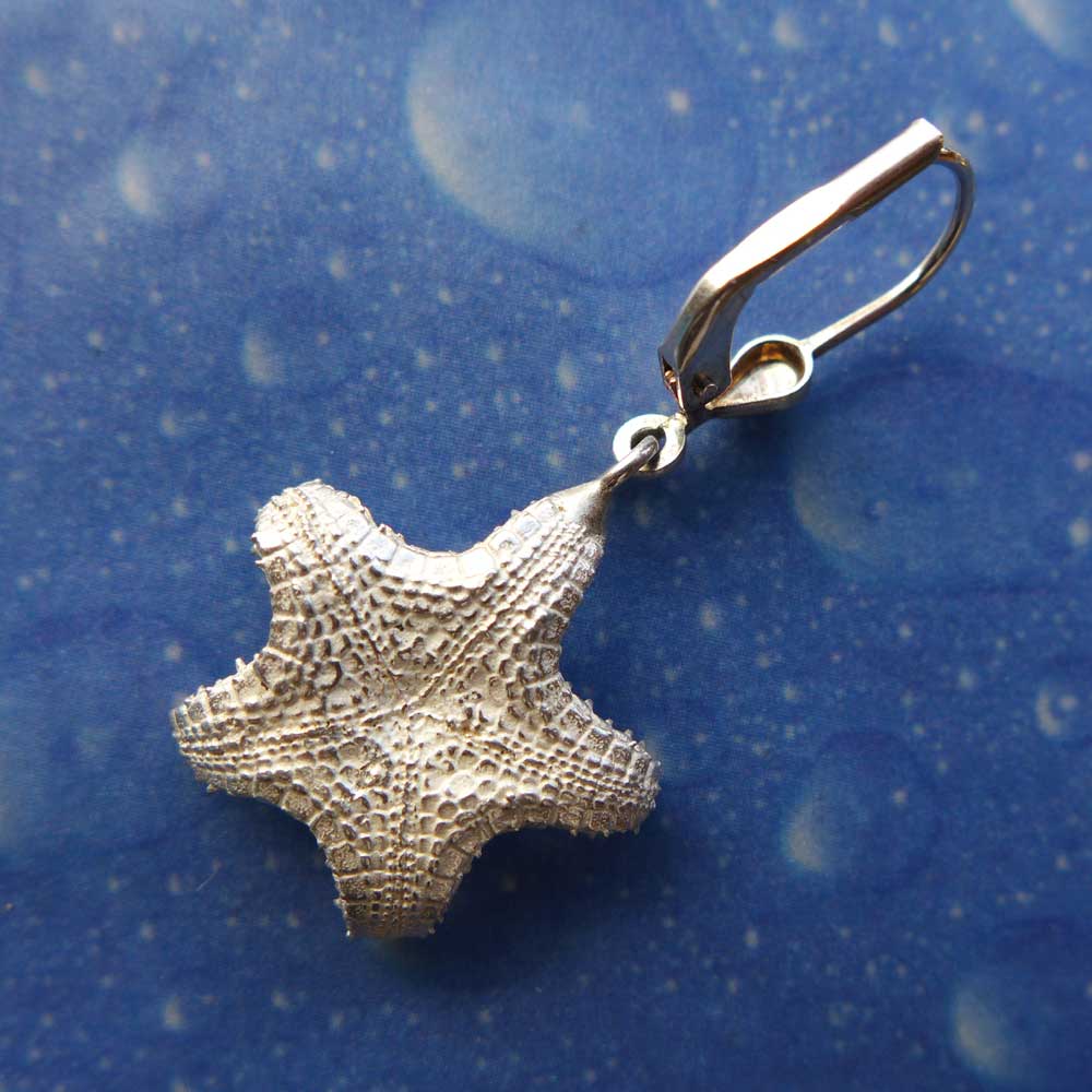 Maritimer Schmuck Seestern Ohrhänger Rückseite