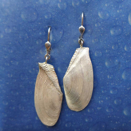 Panama Tellmuschel Ohrhänger