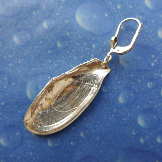 Panama Tellmuschel Ohrhänger