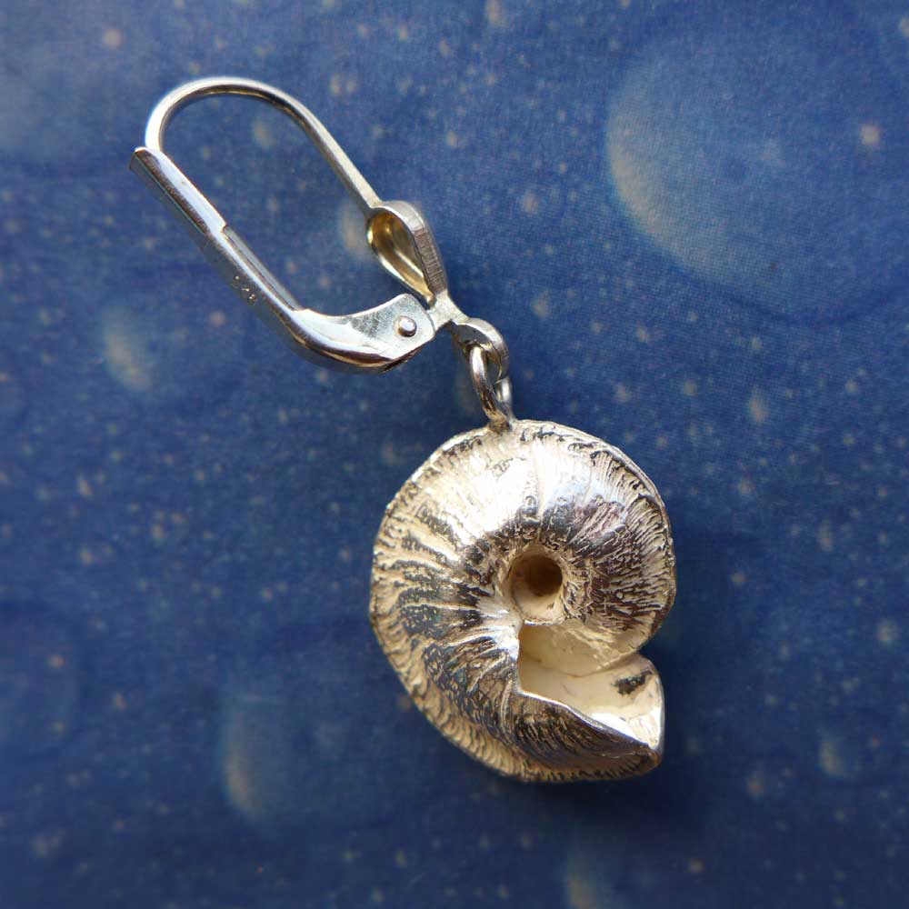 Ohrringe Schnecke Schmuck Sonnenuhr flach Rückseite