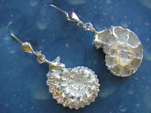 Ammonit Schmuck Ohrhänger Silber