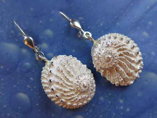 Abalone Ohrringe Schmuck online