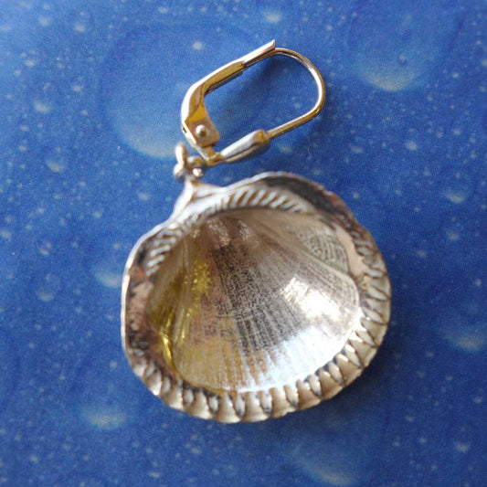 Ohrringe Muschel Silber Rückseite