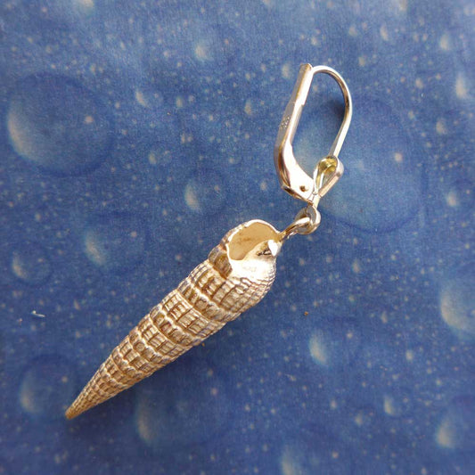 Dussumiers Schraubenschnecke Ohrhänger