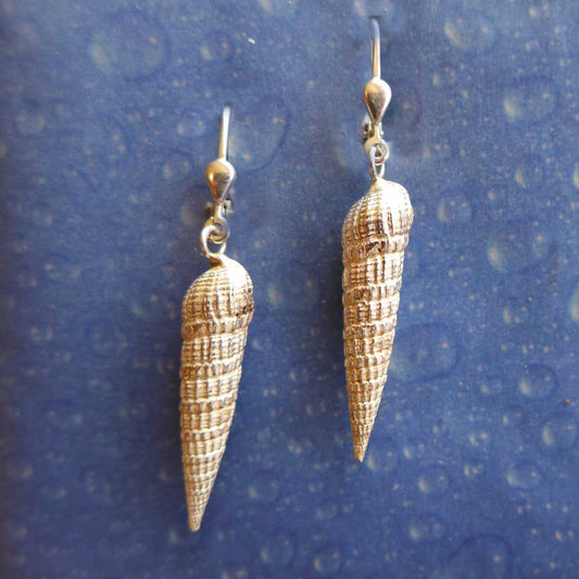 Dussumiers Schraubenschnecke Ohrhänger