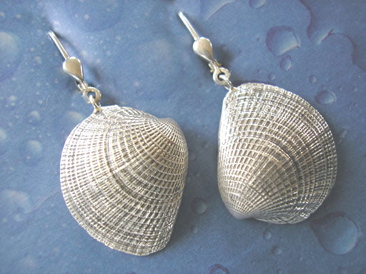 Inselschmuck Ohrringe Venusmuschel geschwärzt