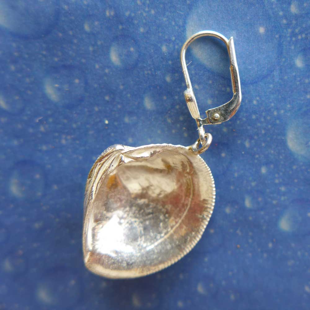 Inselschmuck Ohrringe Venusmuschel Rückseite