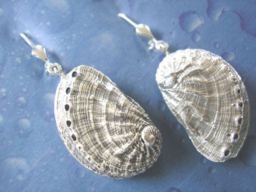 Ohrhänger Abalone Silber Meerohr