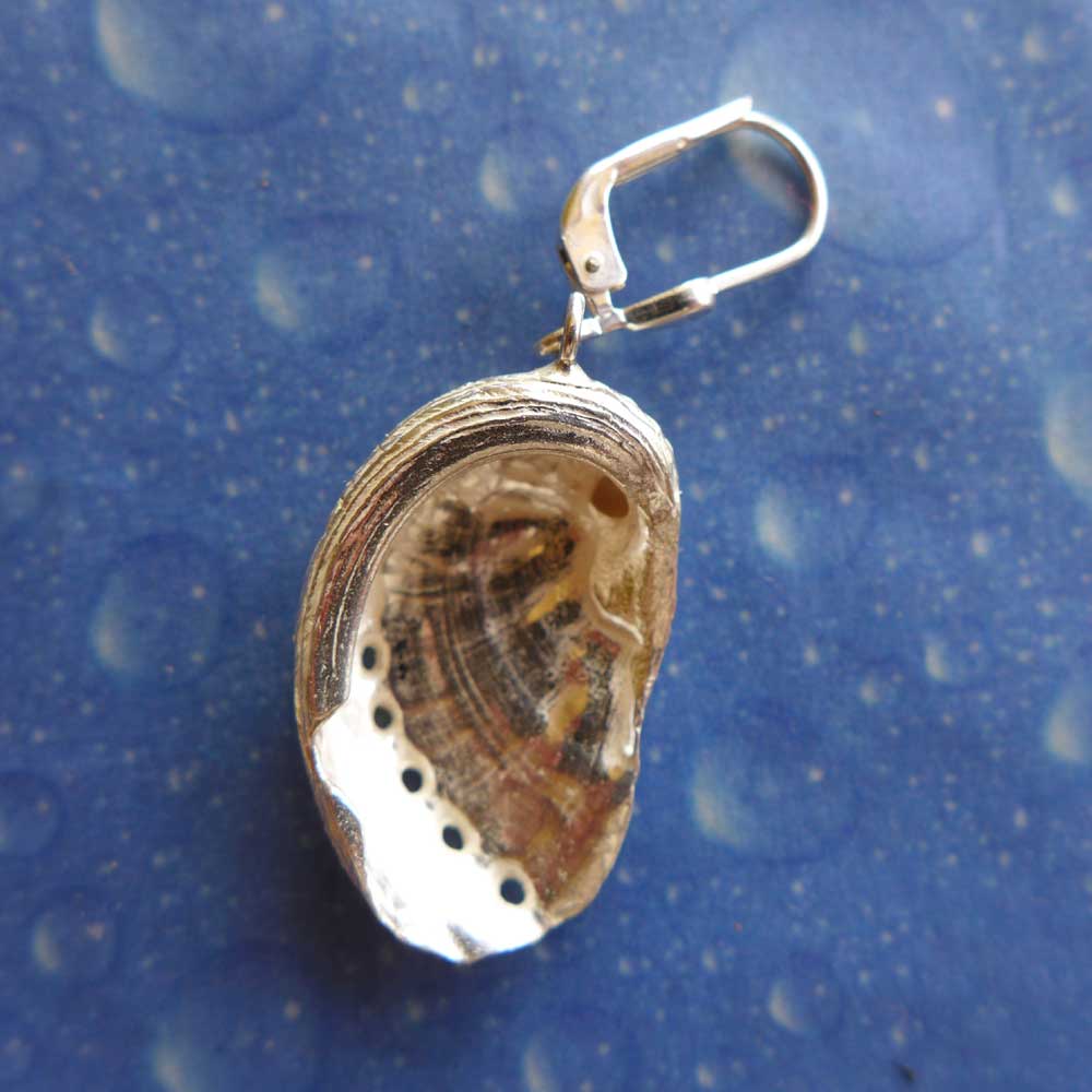 Ohrhänger Abalone Silber Meerohr Rückseite