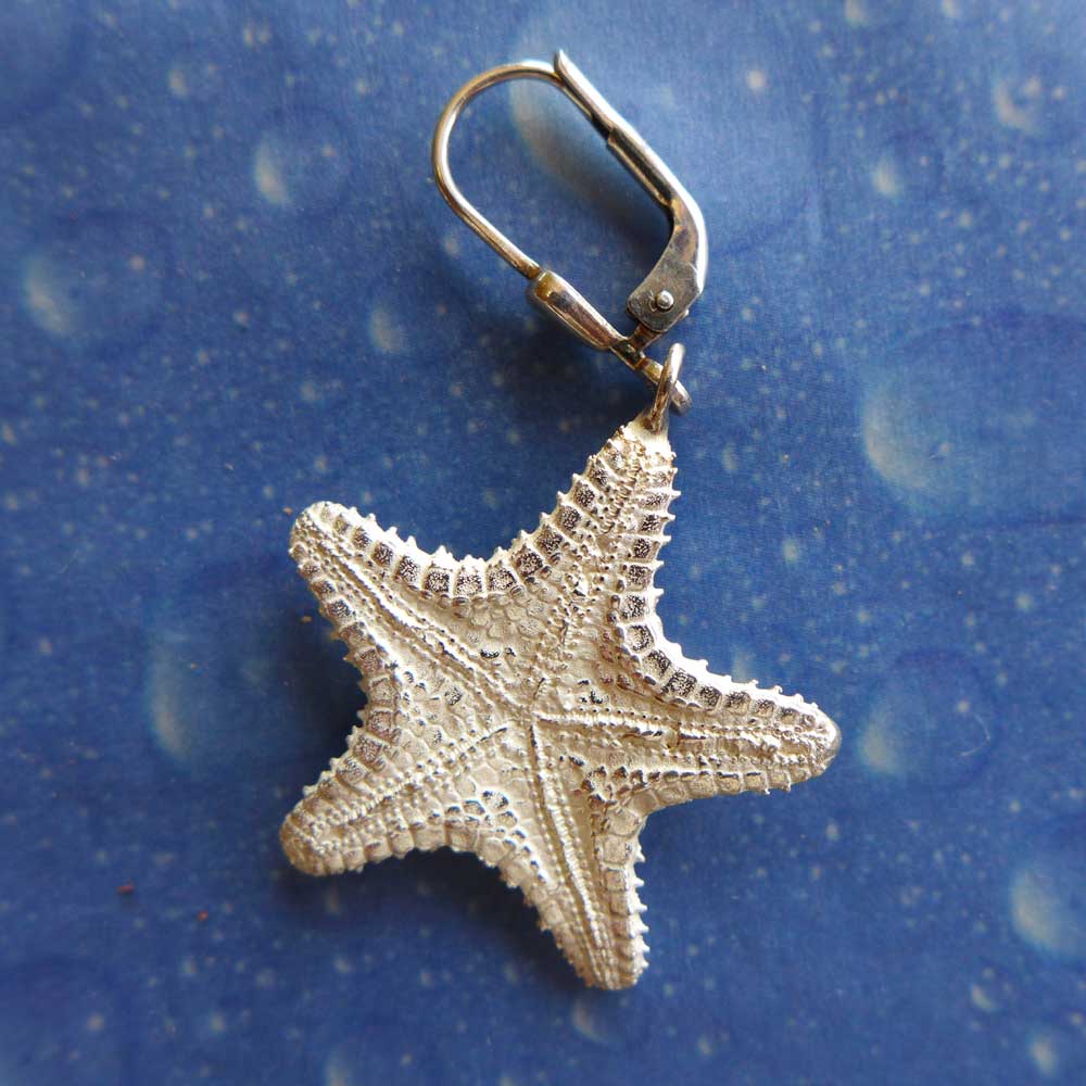 Seestern Schmuck Ohrhänger Kissenstern Rückseite