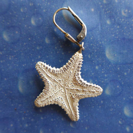 Seestern Schmuck Ohrhänger Kissenstern Rückseite