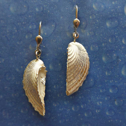 Dione Herzmuschel Ohrhänger