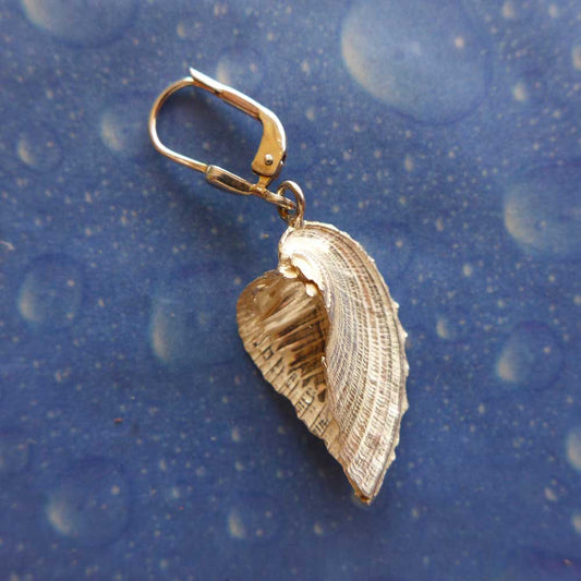 Dione Herzmuschel Ohrhänger