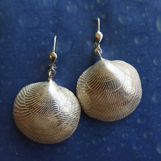 Huttons Mondmuschel medium Ohrhänger