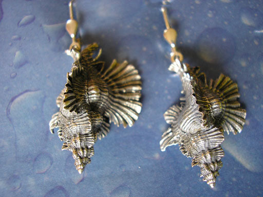 Schmuck Orchideen Schnecke Ohrhänger geschwärzt