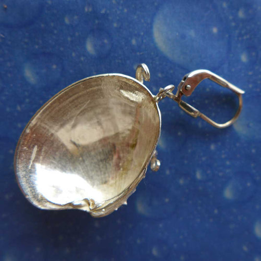 Venuskamm Muschel Ohrhänger