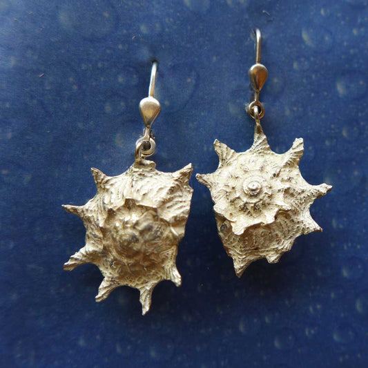 Strand Sand Meer Küste Schmuck Silber Ohrringe