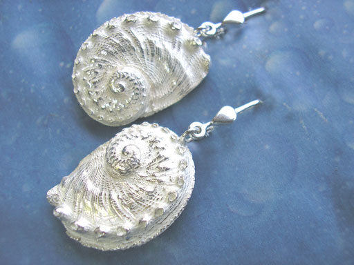 Schmuck Abalone Meerohr Ohrhänger