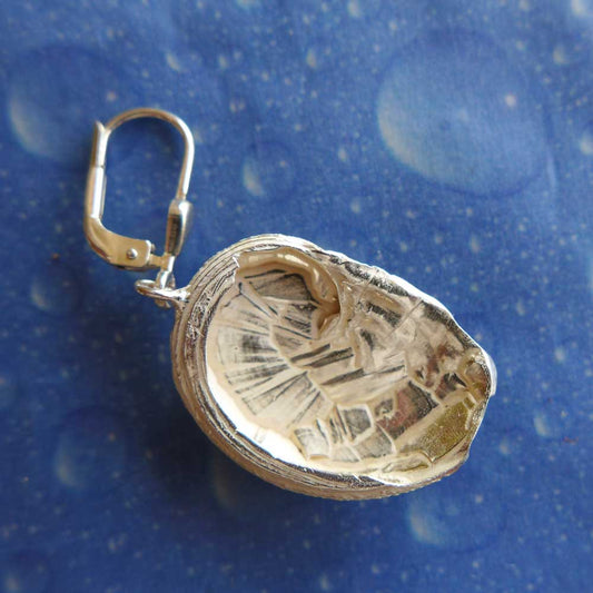 Schmuck Abalone Meerohr Ohrhänger Rückseite