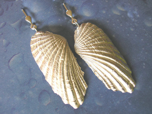 Muschel Ohrhänger Silber Welle