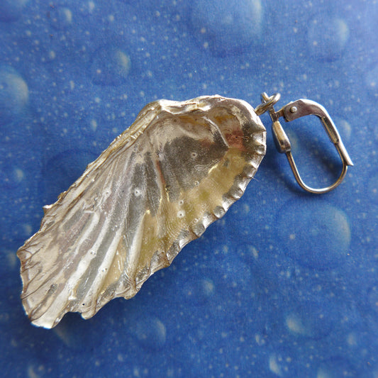 Muschel Ohrhänger Silber Welle Rückseite