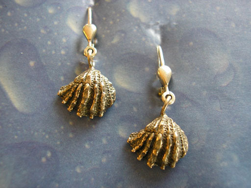 Schmuck vom Meer Ohrringe Ohrhänger Silber